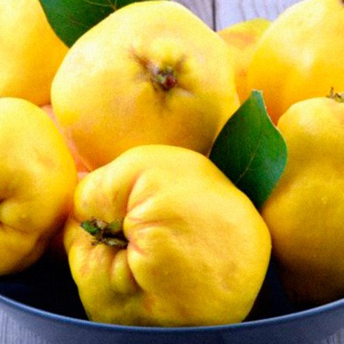 Tarta de Fruta de Otoño