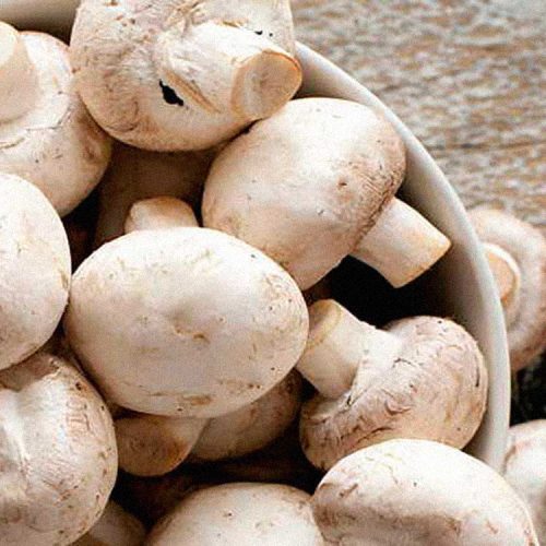 Pastel de Pato con Champiñones